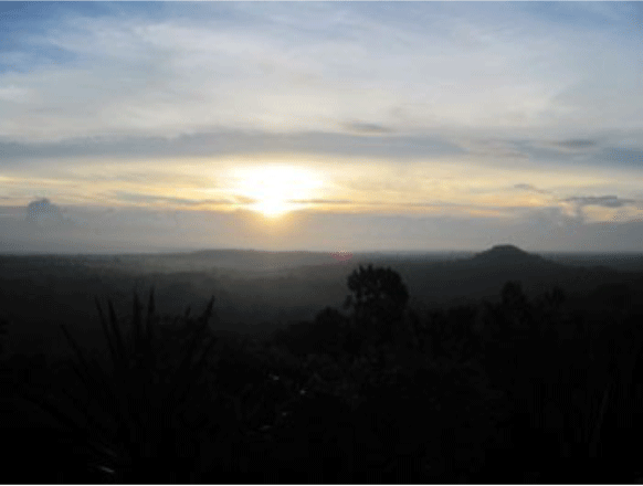 maya zonopkomst jungle 1